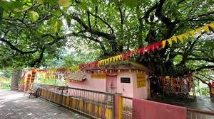 Joshimath photo 4