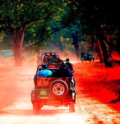 Corbett Jhirna Year-Round Escape