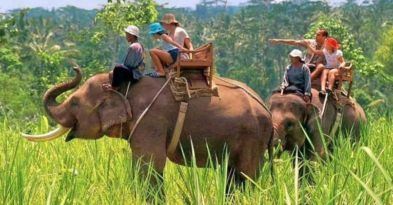Corbett Family Safari Holiday