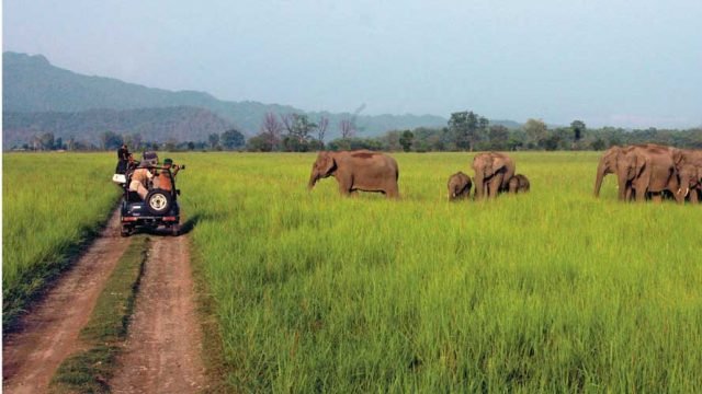 Nandhaur Wildlife Sanctuary