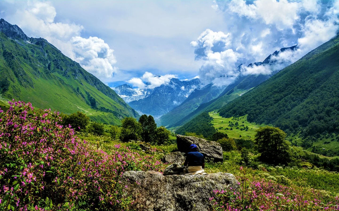Valley of Flowers Trek