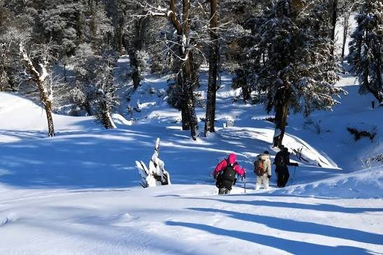 Kedarkantha Winter Trek