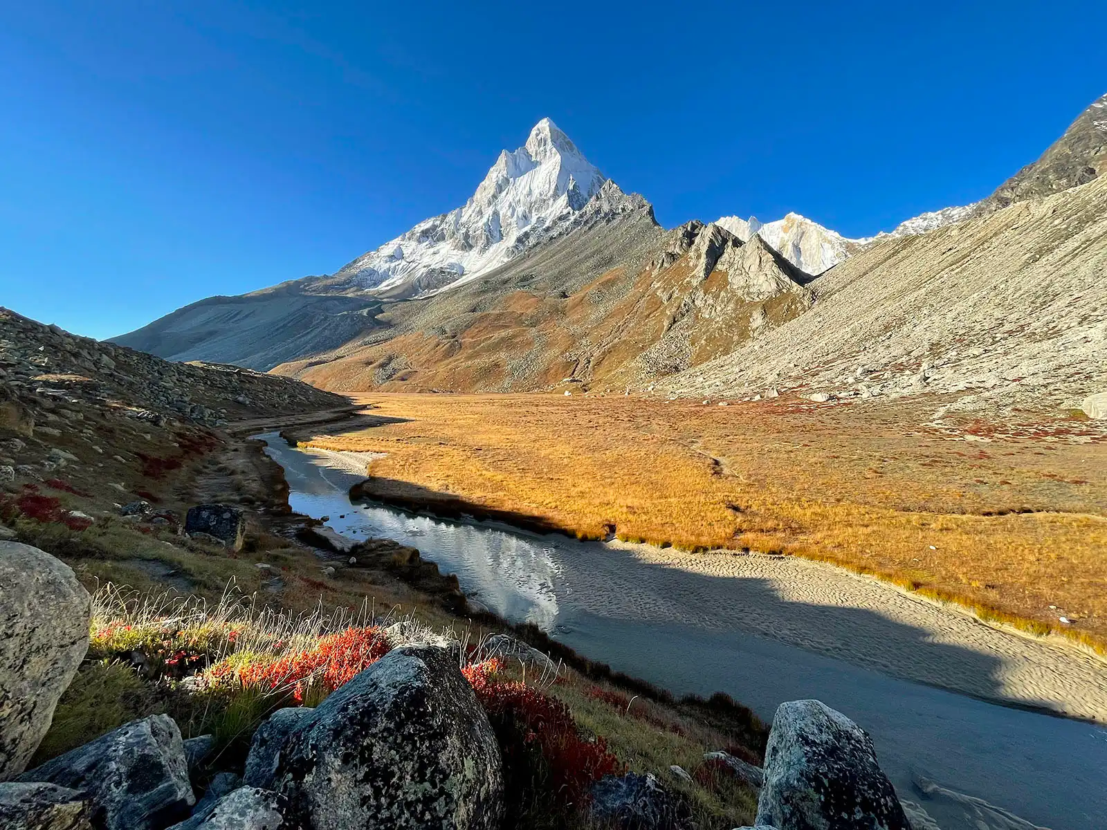 Gaumukh – Tapovan Trek